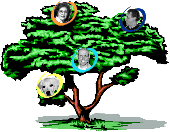 The Mosetti-Mller Family Tree